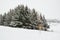 Trees under the snow and disk golf, Iceland