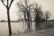 Trees underwater from flood