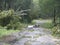 Trees and utility lines down after storm