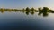 Trees and varios wetland plants on bank of large fish pond, water surface with slight ripples, summer afternoon sunshine