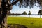 Trees at Ventura Cove Park in San Diego