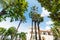 Trees in Villa Comunale garden in Sorrento