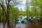 Trees walkway flooded after the rain.