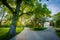 Trees and walkways at Centre Island, in Toronto, Ontario.