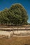 Trees and wall that forms part of the palaceâ€™s moat of Les Invalides in a sunny day at Paris.