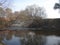 Trees and water in the foreground, forest in background, autumn, tree shadows