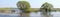 Trees in water. Panoramic landscape with spring flooding of Pripyat River near Turov, Belarus