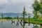 Trees and water plants in Lake Erhai, with mountains covered in clouds in the distance, in Dali, Yunnan, China