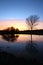 Trees and watermirroring