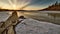 Treestumps Sunset  at mildred lake north of Fort McMurray