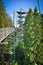 Treetop Path Trees Lookout Observation tower sunny