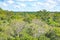 Treetop view of Amazon jungle, Brazil