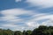 Treetops in the fantastic white clouds on sunny day