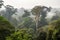 treetops, with view of smoky jungle below