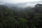 treetops, with view of smoky jungle below