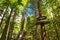 Treewalk through Forest of Tree Ferns and Giant Redwoods in Whakarewarewa Forest near Rotorua, New Zealand