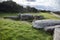 Tregiffian Burial Chamber megalithic england