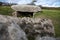 Tregiffian Burial Chamber megalithic england