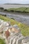 Trek and Hiking Sign, Maghera Beach, Ardara