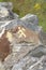 Trek and Hiking Sign, Maghera Beach, Ardara