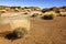 Trek through Las Canadas National park, Teide National Park, Tenerife, Spain