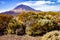 Trek through Las Canadas National park, Teide National Park, Tenerife, Spain