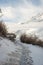 Trek in winters - Dry grass in winter spiti in himalayas