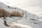 Trek in winters - Dry grass in winter spiti in himalayas