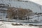 Trek in winters - Dry grass in winter spiti in himalayas