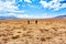 treker and walking Masai in Crater Highlands Tanzania mountains