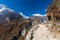 Trekker approaching Renjo La pass on a way to Everest Base camp