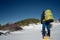 Trekker With Backpack Walking In The Snow With Snowshoes