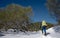 Trekker With Backpack Walking In The Snow With Snowshoes