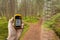 A trekker is finding the right position in the forest via gps in a cloudy autumnal day