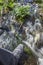 Trekker foot crossing the Muelas river at Cornalvo Natural Park