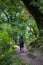 Trekker in forest on Manaslu circuit trek in Himalayas