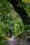 Trekker in forest on Manaslu circuit trek in Himalayas