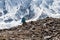 Trekker in front of Manaslu glacier on Manaslu circuit trek in N