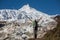 Trekker in front of Manaslu glacier on Manaslu circuit trek in N