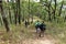 Trekker, trekking to the peak of mountain with tourist, Chiangdao, Chiangmai, Thailand, February10,2018