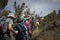 Trekkers passing through moorland on Kilimanjaro