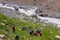 Trekkers resting near a river bank. Himachal Pradesh