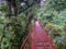 Trekkin tour in Monteverde