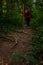 Trekking activity in forest tree roots beautiful wood land nature vertical photography and man person on background in red jacket