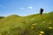 Trekking in the Alps