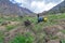 Trekking in Chitkul - Landscape of Sangla Valley, Himachal Pradesh, India / Kinnaur Valley