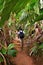 Trekking in jungle, Seychelles, Valle de Mai