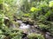 Trekking through the jungle. The turquoise waters of Rio Celese.