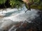 Trekking through the jungle. The turquoise waters of Rio Celese.