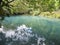 Trekking through the jungle. The turquoise waters of Rio Celese.